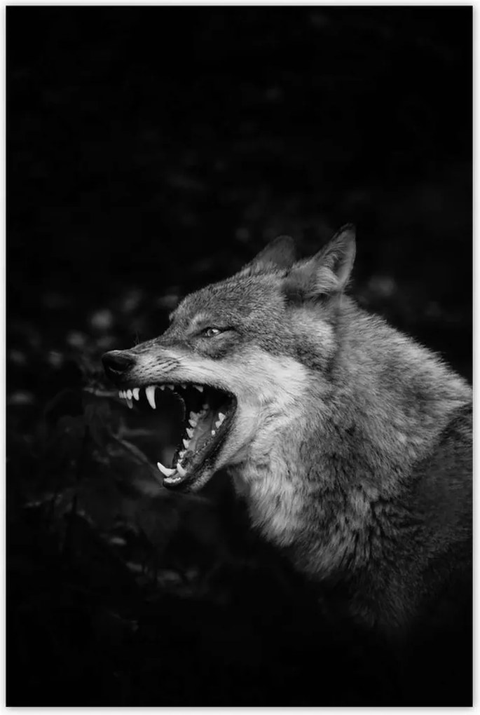 Poszterek 80x120 Természet Emberség