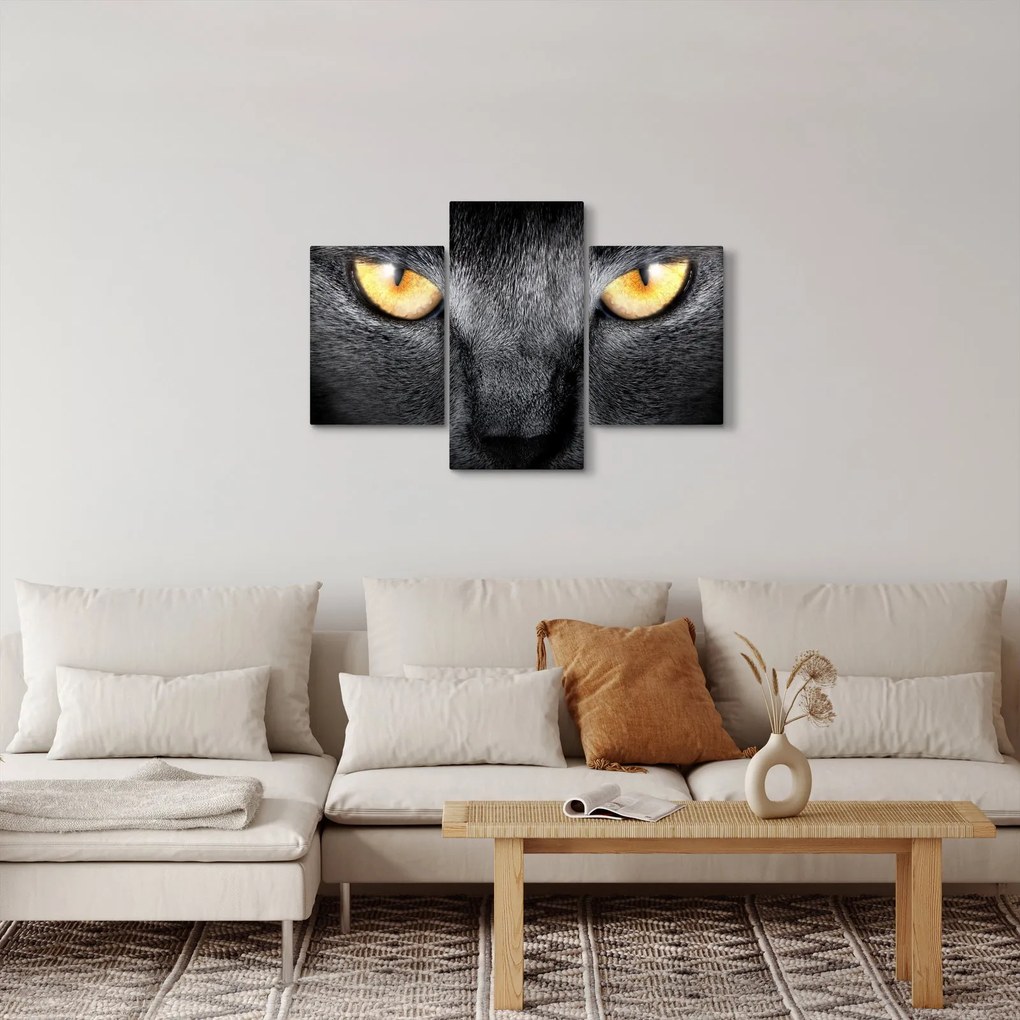 Kép - Közeli portré egy macskáról (90x60 cm)