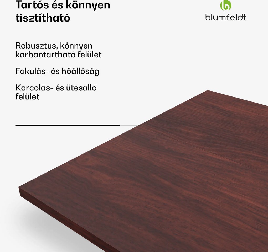 Blumfeldt Bearsdon asztallap 120 x 80 cm konyhához és étkezőhöz, Robusztus rétegelt lemez