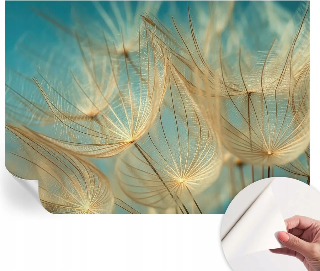 Dekoratív öntapadós fotótapéta az irodába Pitypangok éteri 208x146