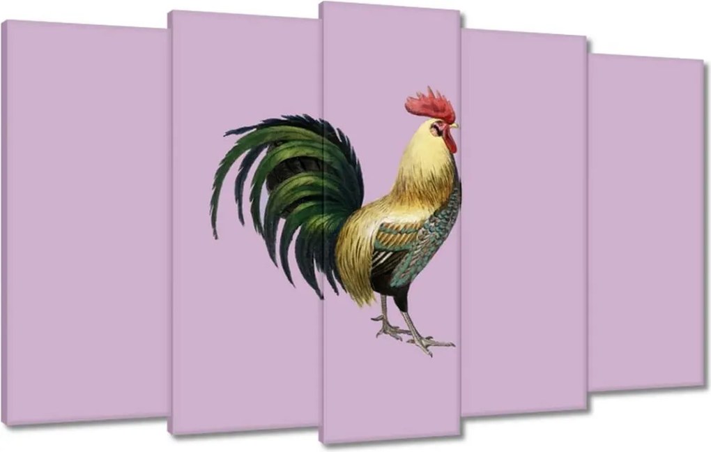 Vászonkép 100x60 Kakas Teleranek Kakas