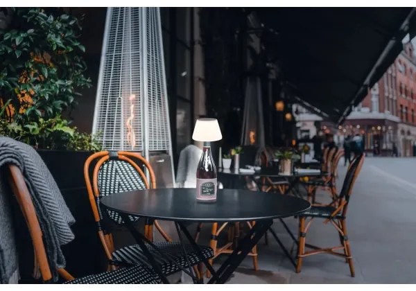 Globo 36000 - LED Napelemes palack lámpabúra 10xLED/1,5W/3V IP44