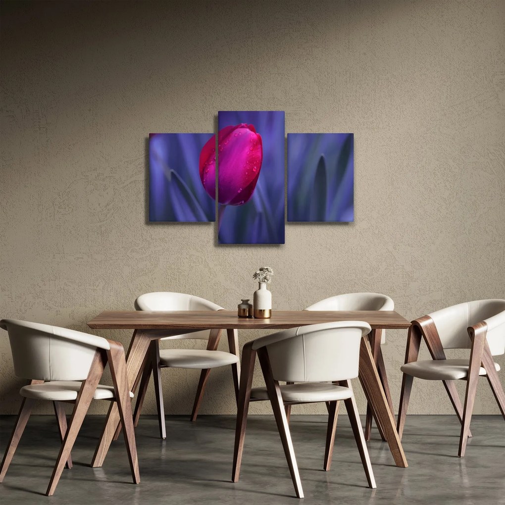 Tulipán bimbó képe (90x60 cm)