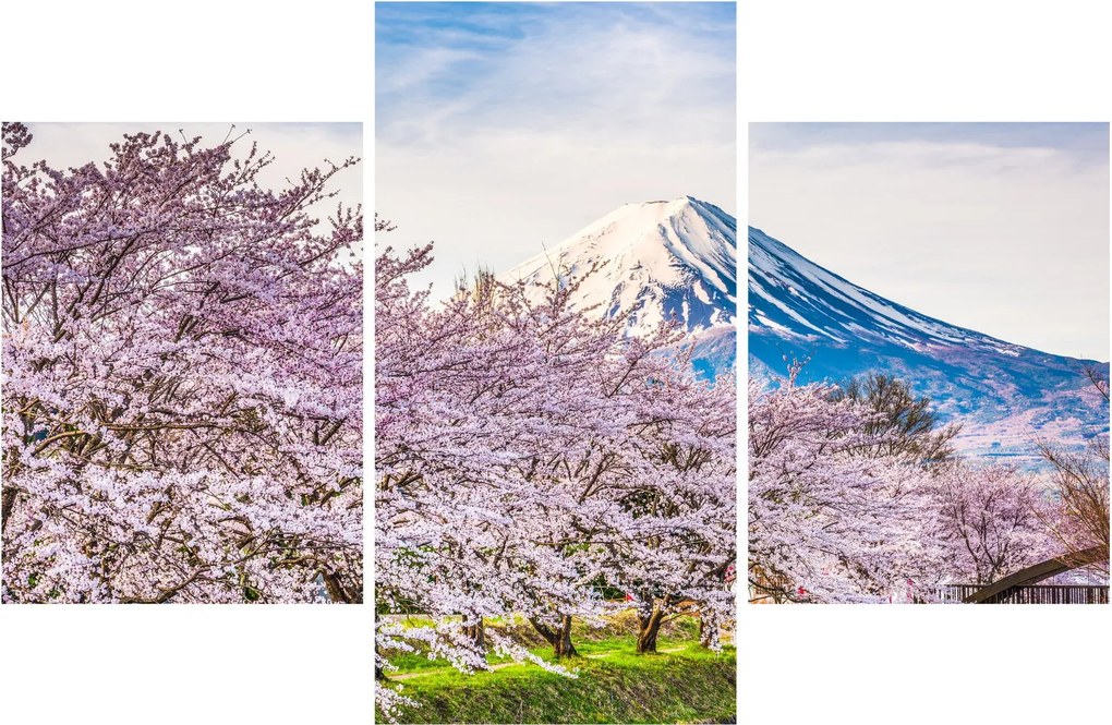 Kép - Japán tavasszal (90x60 cm)