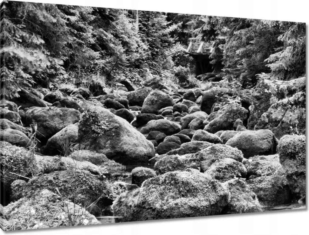 Vászonkép 90x60 Tátra Lengyel hegyek Kilátás