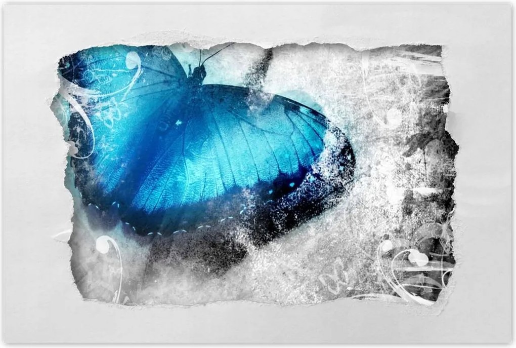 Poszterek 90x60 Finom pillangó