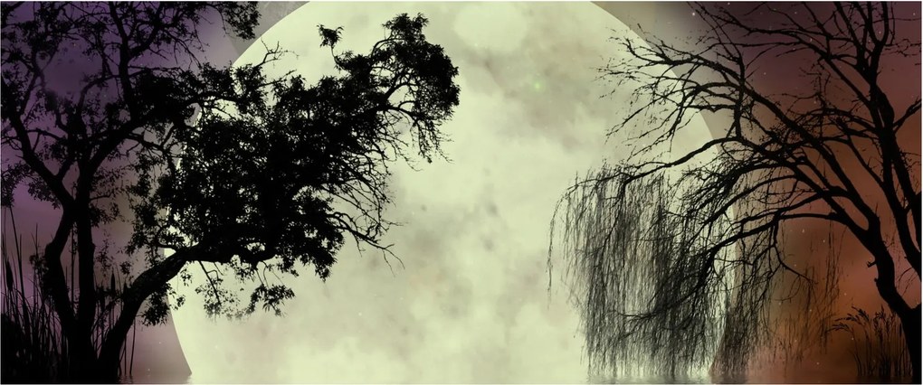 Kép - Telihold a felszín felett (120x50 cm)