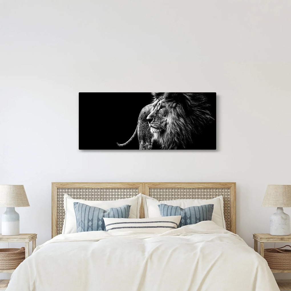 Kép - Oroszlán, fekete-fehér (120x50 cm)