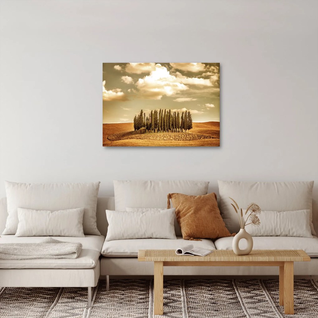 A Tisztás képe (70x50 cm)