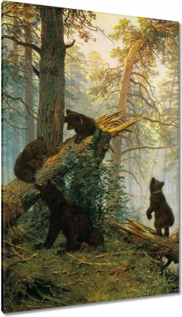 Vászonkép 80x120 Reggel a fenyőerdőben