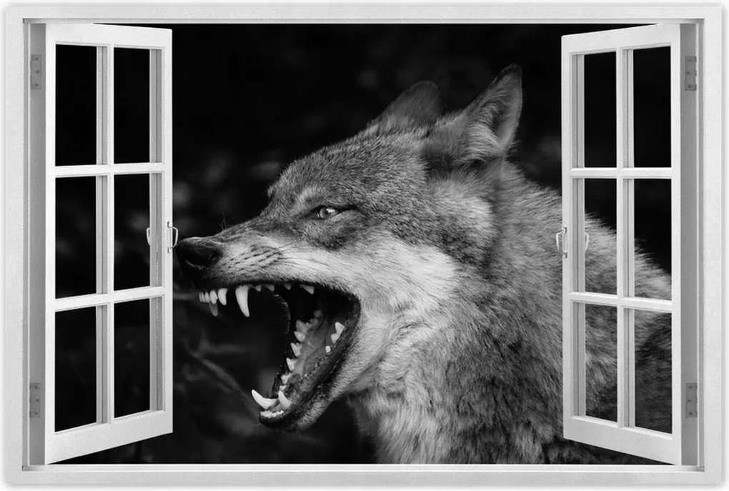 Poszterek 90x60 Természet Emberség