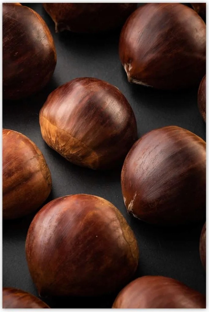 Poszterek 80x120 Kormány Gesztenye ehető