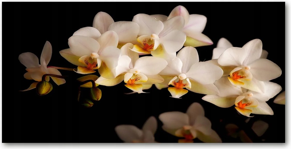 Fotó vászonkép edzett üveg Orchidea 140x70