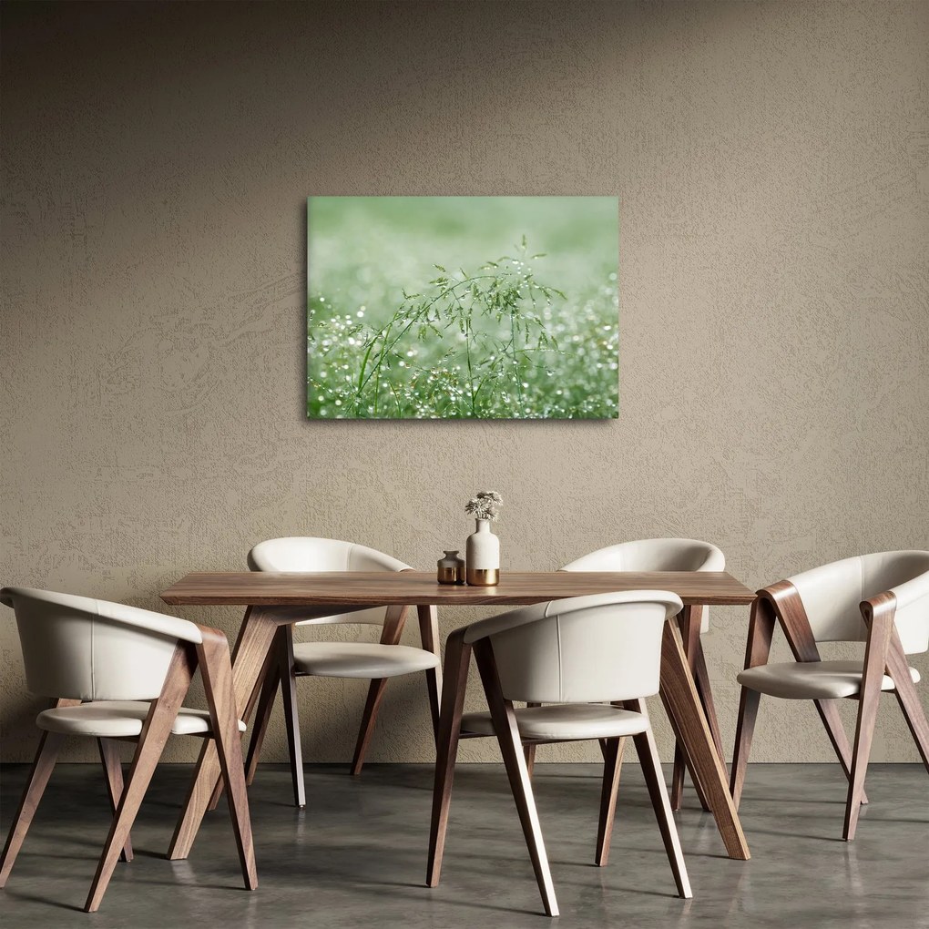 Kép - Harmat a fűben (70x50 cm)