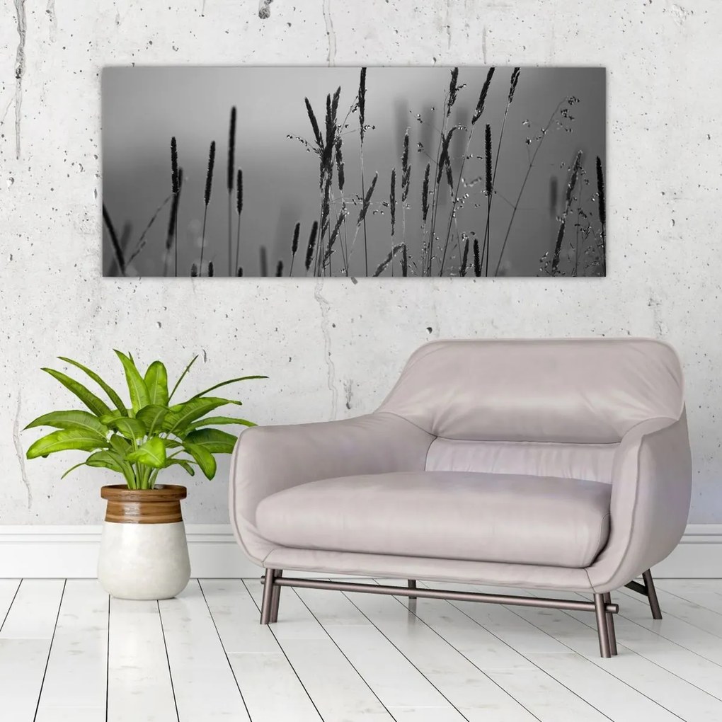 Kép - Fűszálak (120x50 cm)