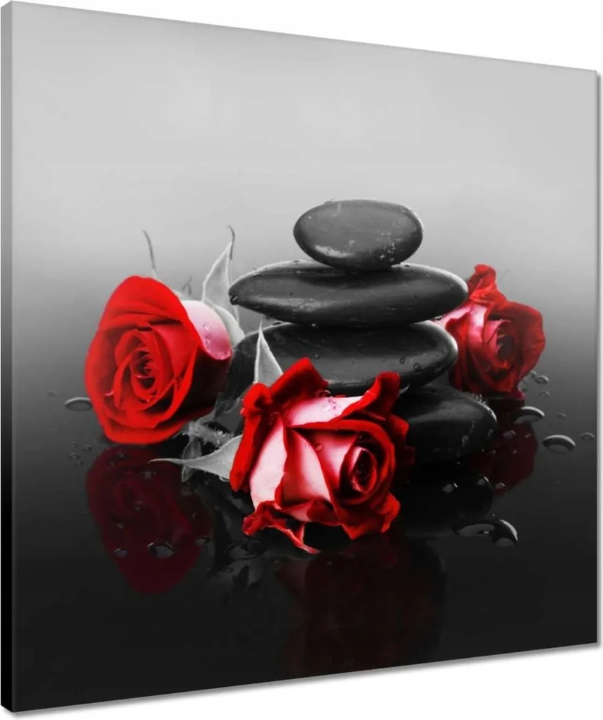 Vászonkép 50x50 Vörös rózsák Spa