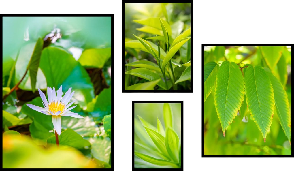 4db botanikus poszter nappaliba természet zöld