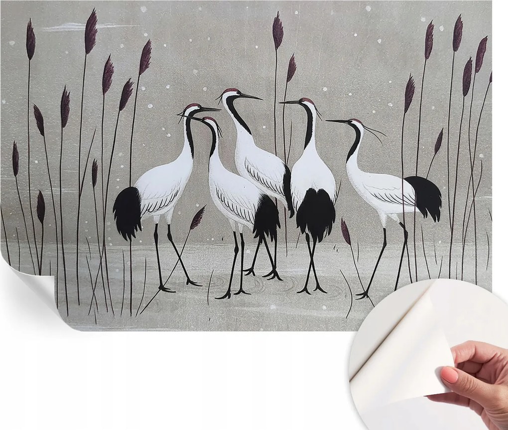Öntapadós Dekoratív Fotótapéta Hálószobába Daru csorda 104x70 cm