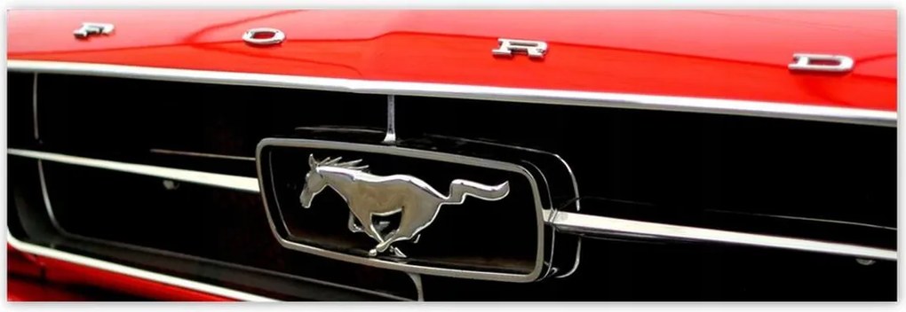 Poszterek 200x66 Grill Ford Mustang