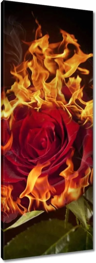 Vászonkép 40x100 Vörös lángoló rózsa