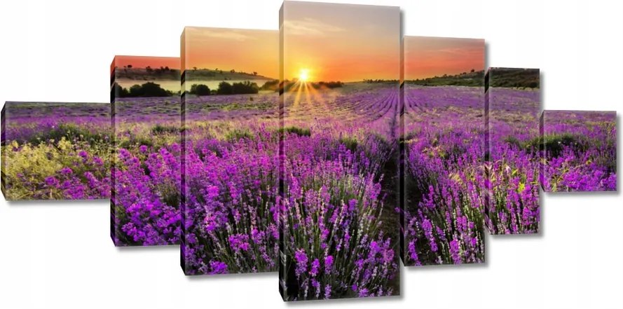 Vászonkép 200x100 Levendulamező Nyugat