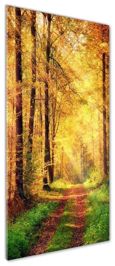 Üvegkép nyomtatás Őszi erdő pl-osh-50x125-f-91078750