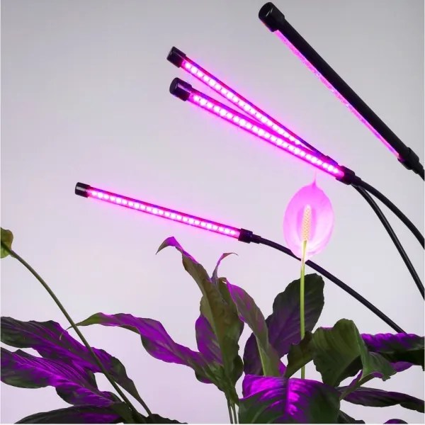 LED Dimmelhető állólámpa növények termesztésére VITARO 4xLED/7,5W/230V fekete