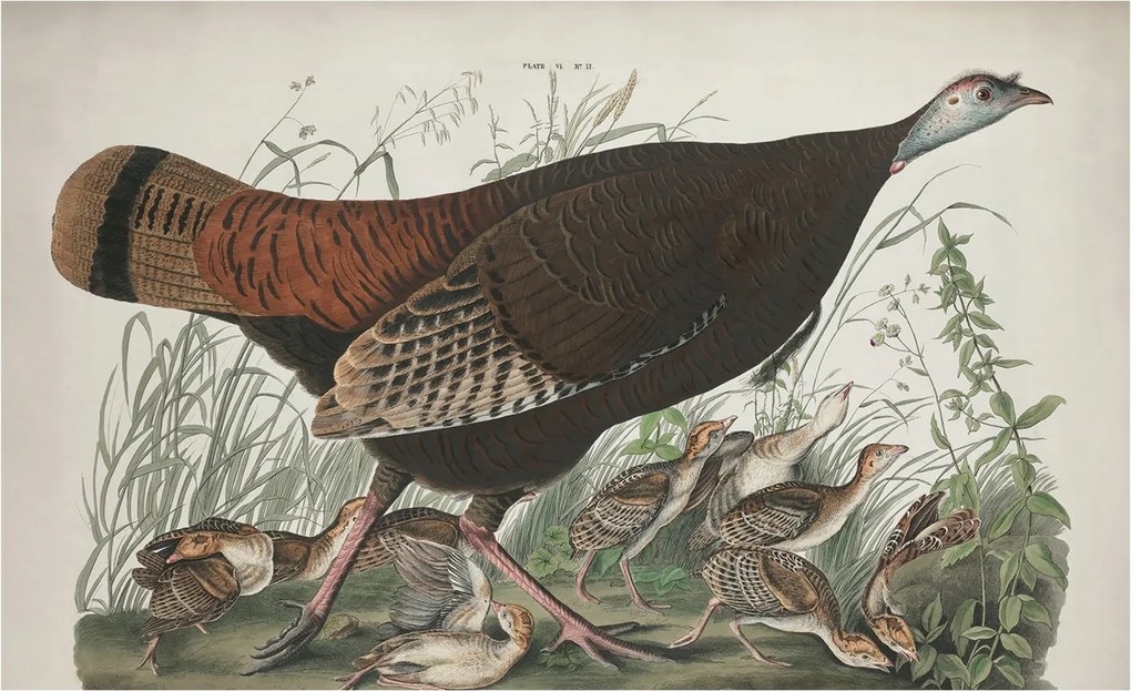 Divatos 3D Fali Tapéta Természetes harmónia 416x254 Ragasztóval