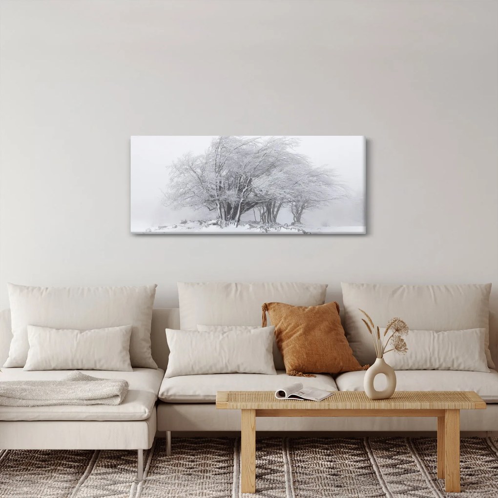 Kép - fehér tél (120x50 cm)