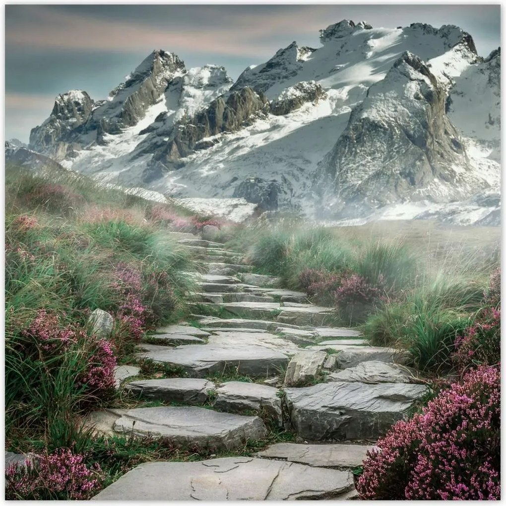 Poszterek 70x70 Hegyi kilátás Tájkép Köd