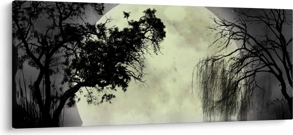 Kép - Telihold a felszín felett, fekete-fehér változat (120x50 cm)
