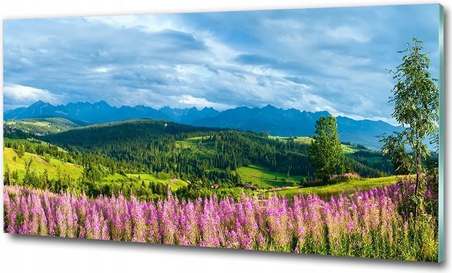 Fotó kép edzett üveg Virágok és pillangó 100x70