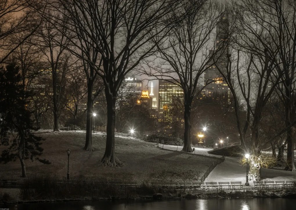 Poszter 59,4x42cm Central Park éjszaka, Assaf Frank