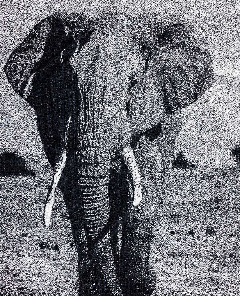 ANIMAL Elefánt Strandtörölköző 165x90cm