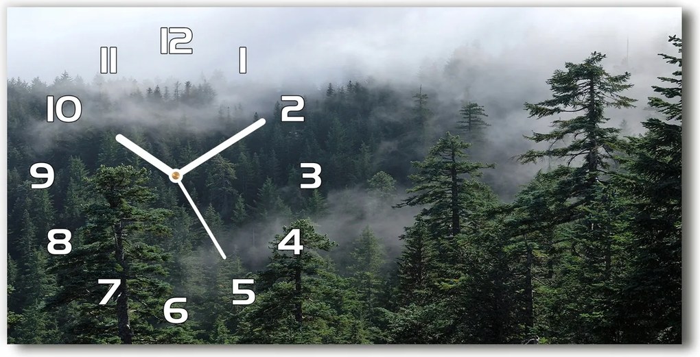 Üveg falióra nappaliba Erdei köd 60x30cm