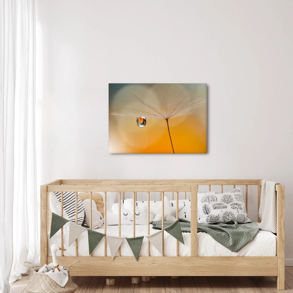 Kép - Makró virág (70x50 cm)