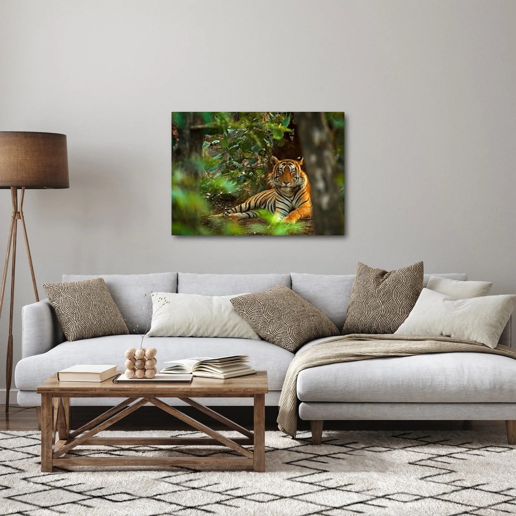 Pihenő tigris képe (70x50 cm)