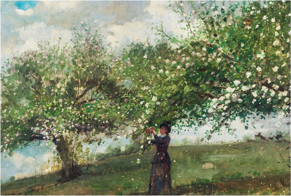 Fotótapéta Flizelina Nappali és Hálószoba Iroda Tavaszi jelenet 104x70 Ragasztó