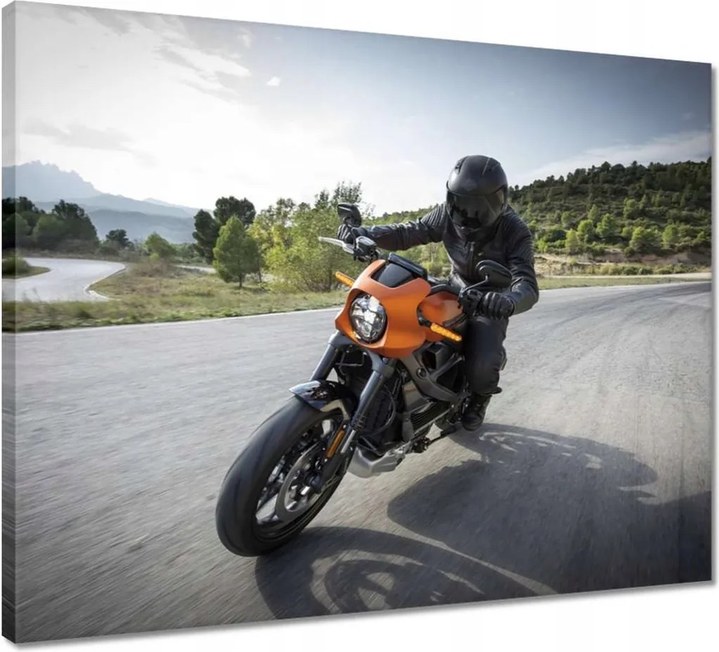 Vászonkép 50x40 Harley Davidson Motorkerékpár