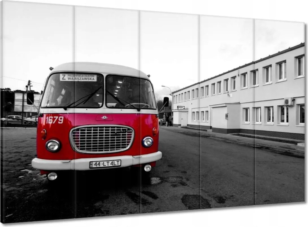 Vászonkép 100x70 Vörös szarvas uborka