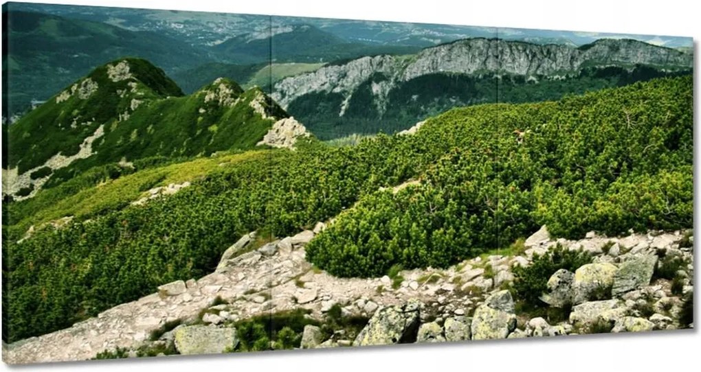 Vászonkép 60x30 Tátra Lengyel hegyek Kilátás