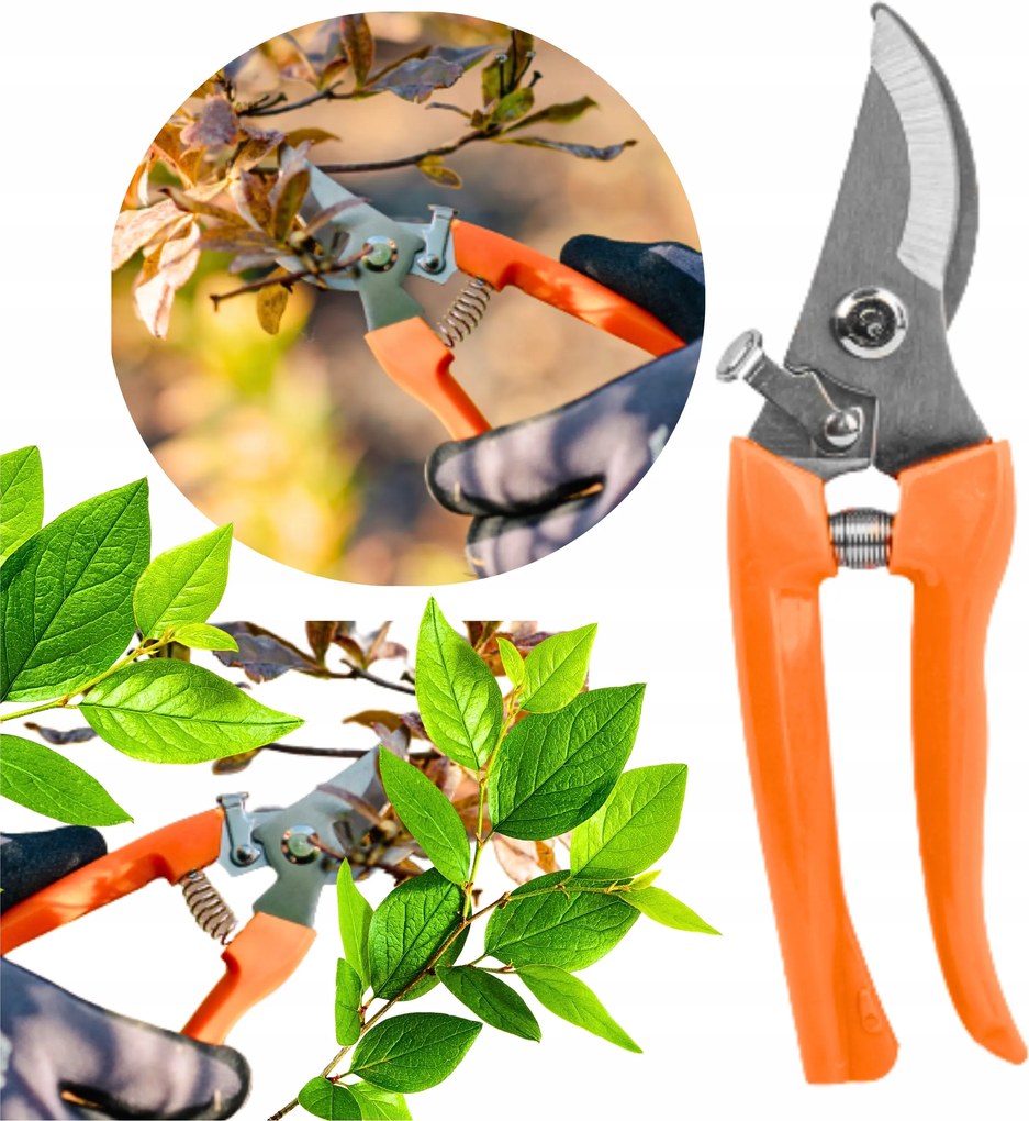 Metszőolló Ped Ágakhoz éles Ergonomikus robusztus Klasszikus