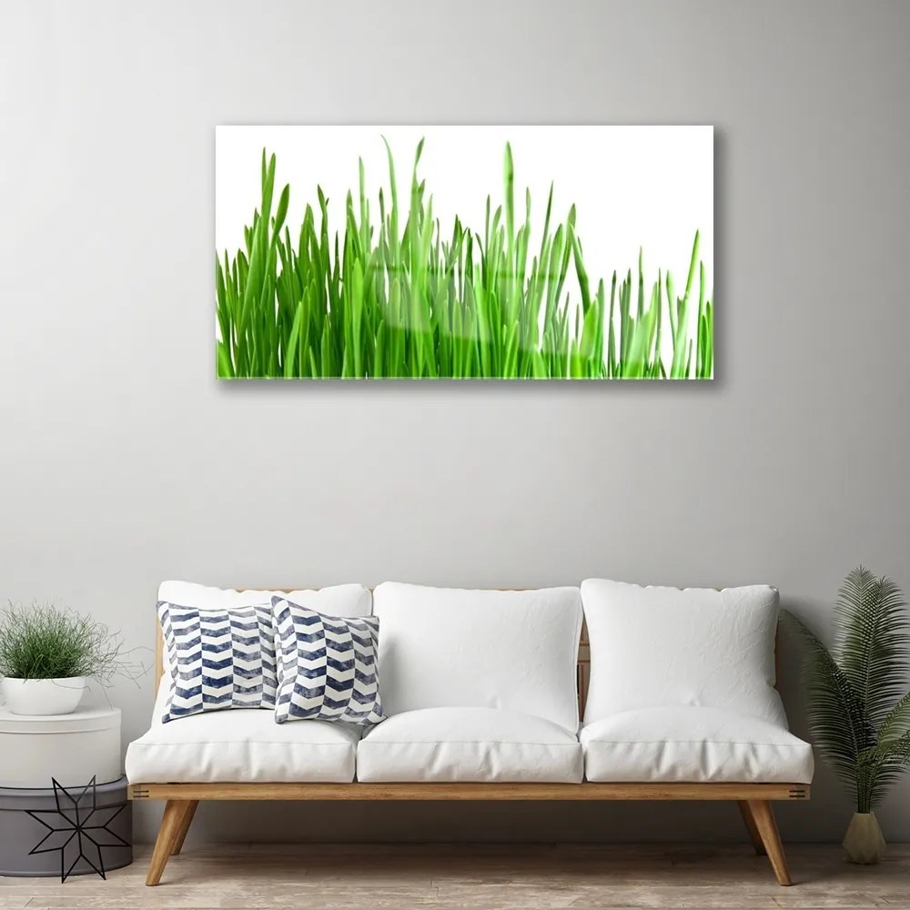 Üvegkép Grass Nature Plant 120x60cm