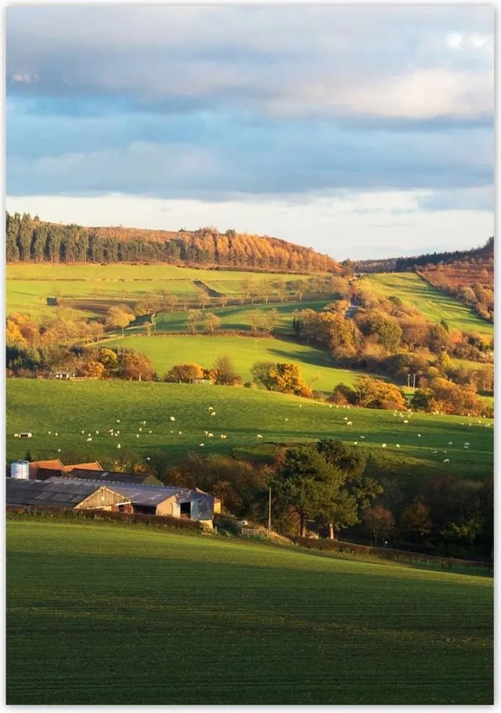 Poszterek 70x100 Hegyi völgy