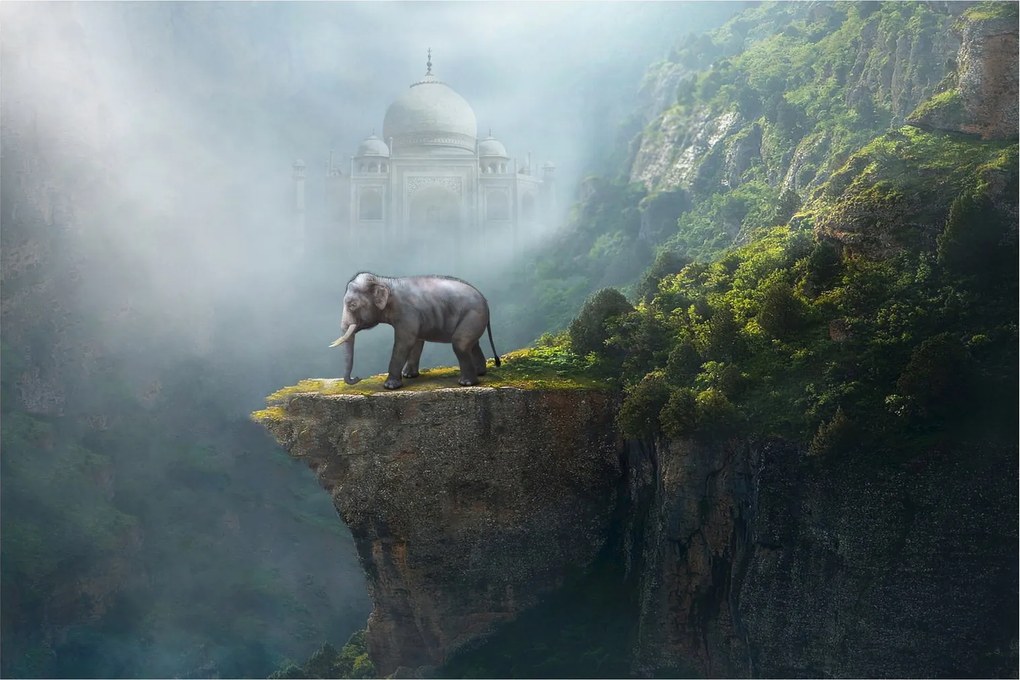 Kép - Az elefánt a Taj Mahal tetején (90x60 cm)
