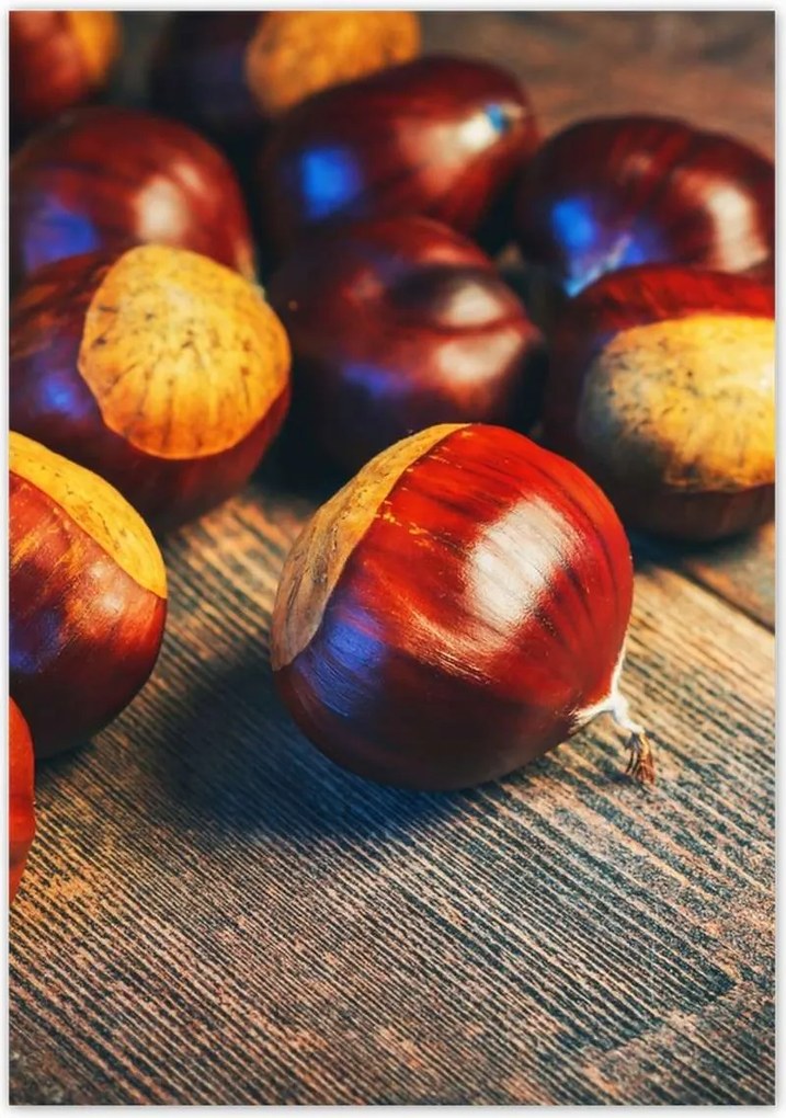 Poszterek 70x100 Dió a deszkán Bronz