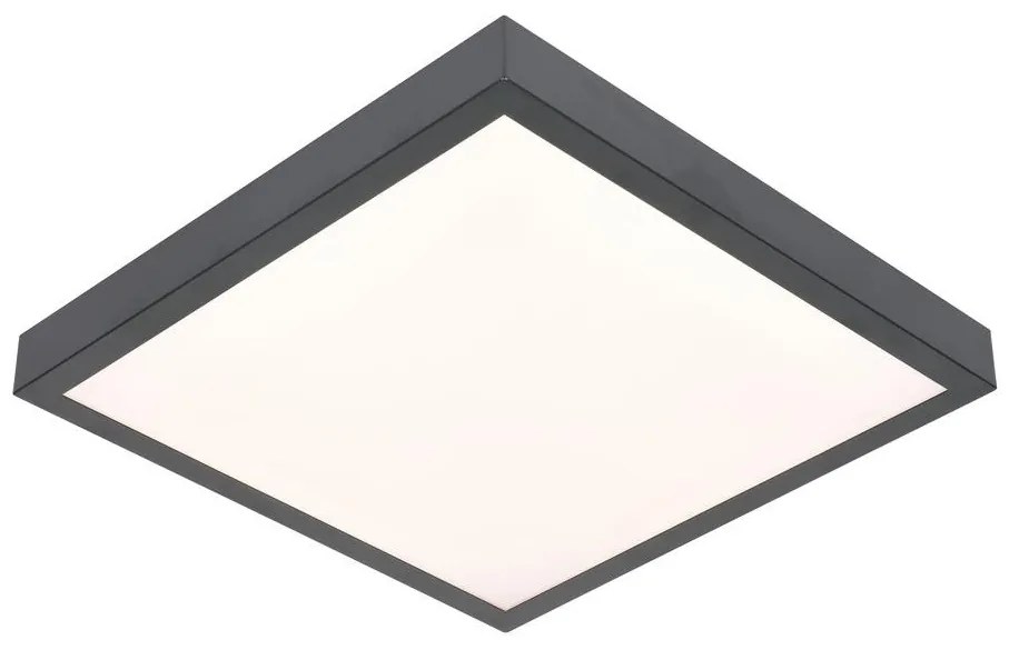 BOWI LED Mennyezeti lámpa VITALI LED/24W/230V BW0100
