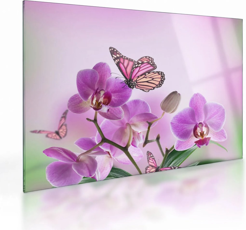 Üveg kép - Pillangó orchidea virágon, lila (70x50 cm)