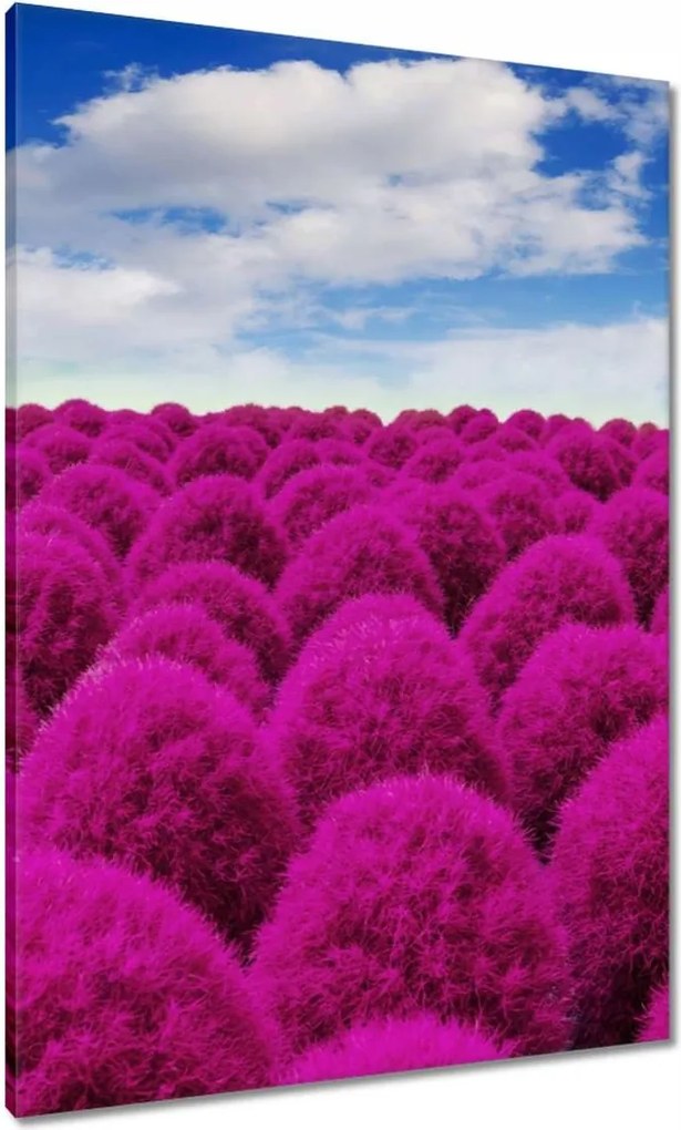 Vászonkép 70x100 Kifejező rét Tájkép