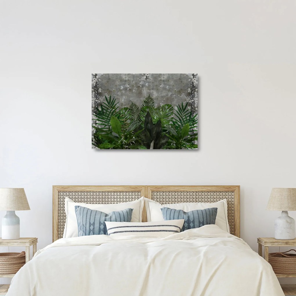 Kép - Betonfal növényekkel (üvegen) (70x50 cm)